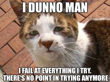 Sad cat meme expressing failure in a humorous way.