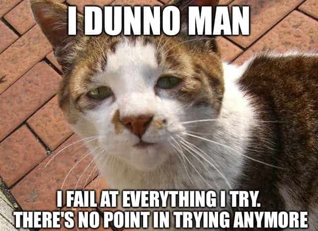 Sad cat meme expressing failure in a humorous way.