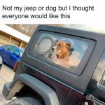 Adorable dog with head out jeep window offering free kisses