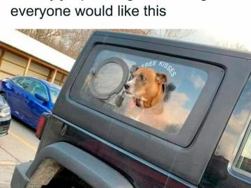 Adorable dog with head out jeep window offering free kisses