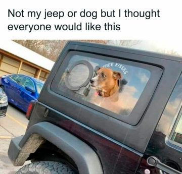 Adorable dog with head out jeep window offering free kisses