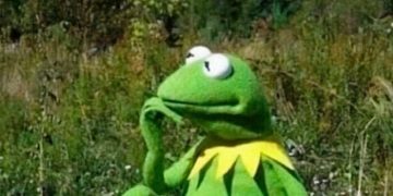 Kermit the Frog imagines being fit, pondering on a rock in nature.