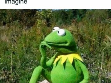 Kermit the Frog imagines being fit, pondering on a rock in nature.