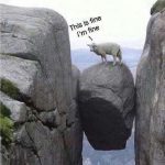A goat precariously balanced on a rock, representing handling life.
