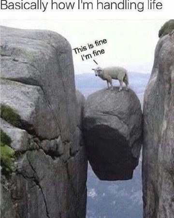 A goat precariously balanced on a rock, representing handling life.
