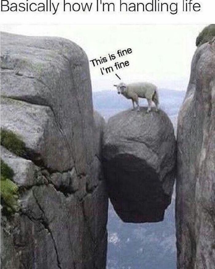 A goat precariously balanced on a rock, representing handling life.