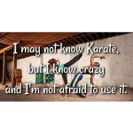 Person humorously showcasing crazy over karate skills.