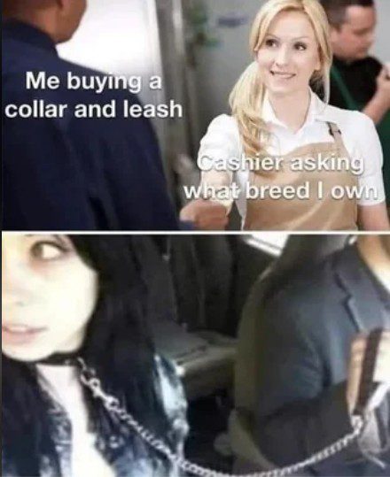 Customer buying leash with funny misunderstanding about owning a breed