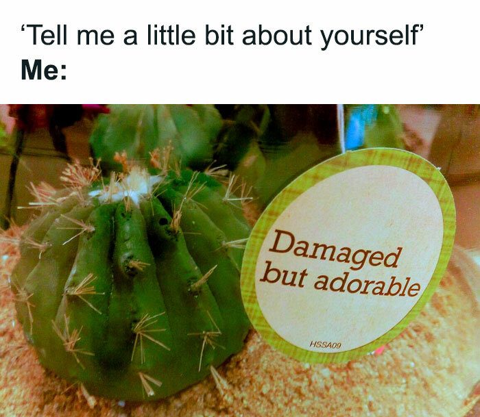 Cactus labeled "Damaged but adorable" - relatable meme humor