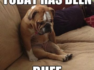 Sad bulldog sitting on couch with text "Today has been ruff"