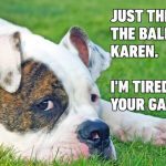 Dog lying on grass, looking annoyed with text about throwing a ball