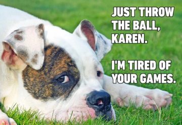 Dog lying on grass, looking annoyed with text about throwing a ball