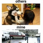 Child hugs a husky while man humorously runs from two dogs.