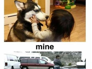 Child hugs a husky while man humorously runs from two dogs.