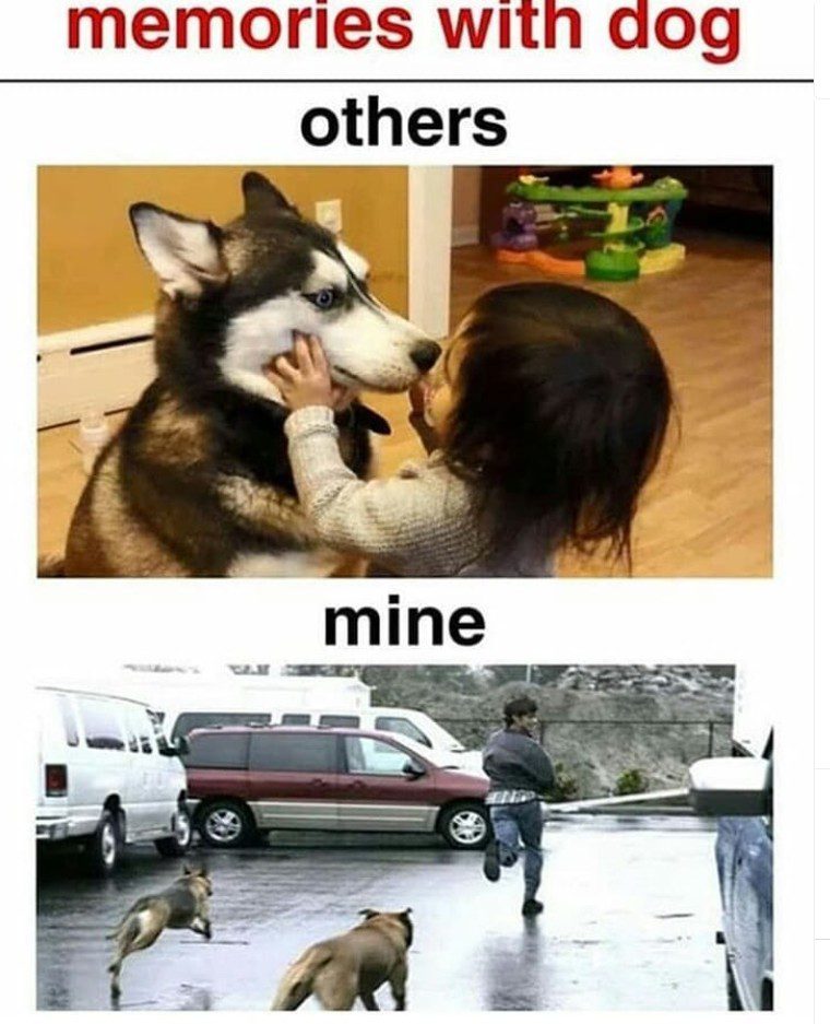 Child hugs a husky while man humorously runs from two dogs.