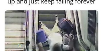 Person humorously falls down on an escalator moving upwards.