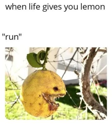A lemon on a tree with a creepy face captioned "when life gives you lemon, run."
