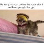Cute kitten in workout gear symbolizing gym procrastination.