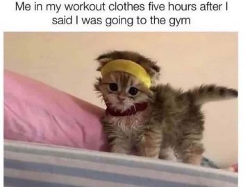 Cute kitten in workout gear symbolizing gym procrastination.