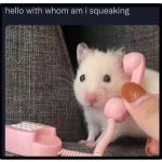 Cute hamster holding a tiny phone looking curious and adorable.