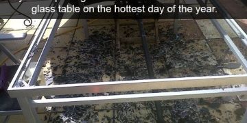Broken glass table after placing ice water on a hot day.