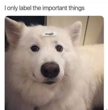 Fluffy dog with "doggo" label on its forehead, looking adorable.