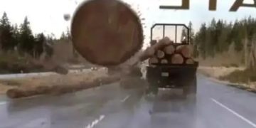 Image of a log flying off a truck, evoking phobia humor from 2003.