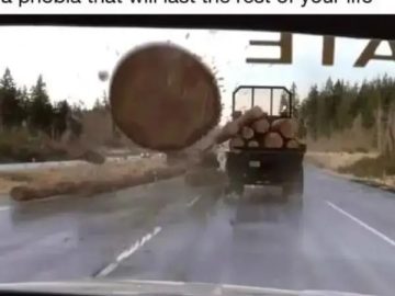 Image of a log flying off a truck, evoking phobia humor from 2003.