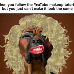 Dog with makeup and wig showing a hilarious beauty fail