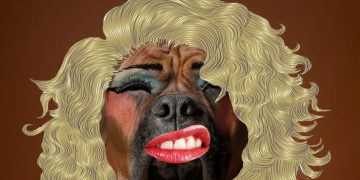 Dog with makeup and wig showing a hilarious beauty fail
