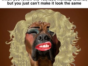 Dog with makeup and wig showing a hilarious beauty fail