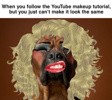 Dog with makeup and wig showing a hilarious beauty fail