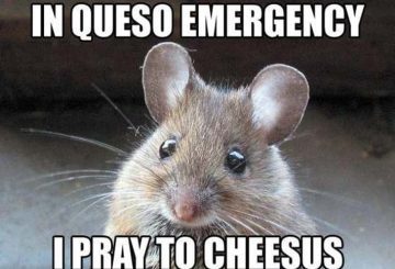 Cute mouse meme with a punny queso and cheese prayer joke
