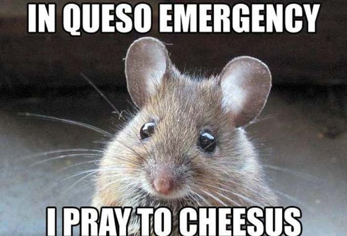Cute mouse meme with a punny queso and cheese prayer joke