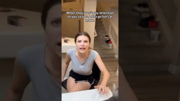 Thumbnail for Boyfriend Goes Full Cat Mode for Attention showing a funny couple moment where a boyfriend blames the cat before confessing