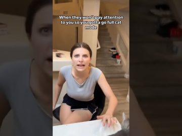 Thumbnail for Boyfriend Goes Full Cat Mode for Attention showing a funny couple moment where a boyfriend blames the cat before confessing