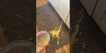 Thumbnail for Chaos Hits From Every Angle in This Funny Fail Short showing a fast-paced fail compilation with awkward public moments and chaotic home mishaps