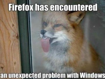 Fox with tongue on window, caption about Firefox encountering Windows issue