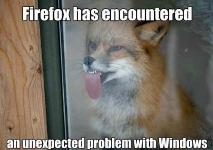 Fox with tongue on window, caption about Firefox encountering Windows issue