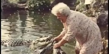 Granny fearlessly wrangles crocodiles, caption reads LSD and ducks.