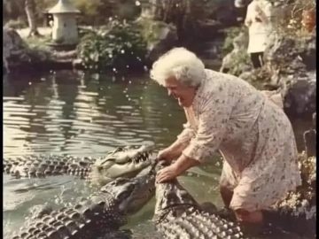 Granny fearlessly wrangles crocodiles, caption reads LSD and ducks.