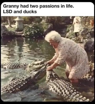 Granny fearlessly wrangles crocodiles, caption reads LSD and ducks.