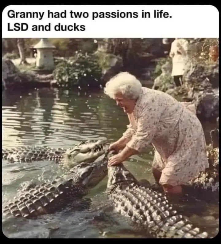 Granny fearlessly wrangles crocodiles, caption reads LSD and ducks.