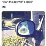 Grumpy cat reflection in car mirror looking unimpressed.