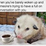 Sleepy opossum with coffee, looking unamused at morning chat.
