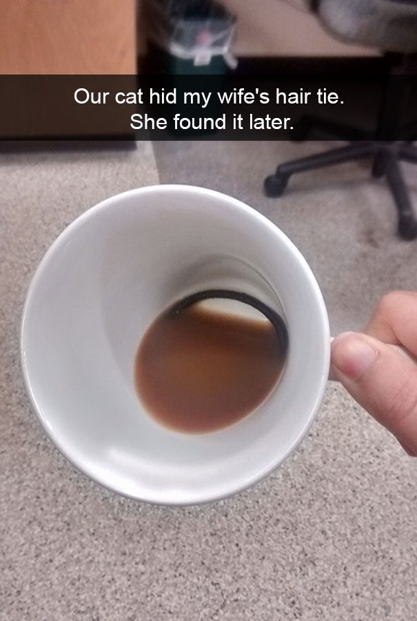 Cat hides hair tie in a coffee cup, surprise revealed.