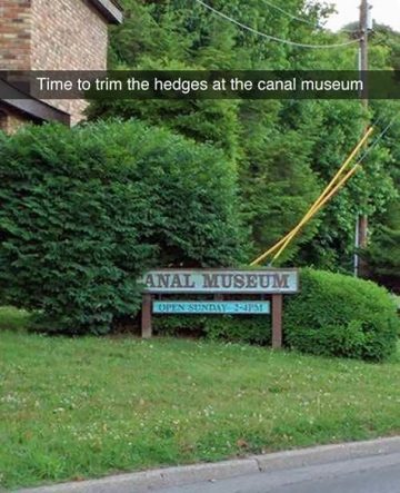 Overgrown hedge covers part of the canal museum sign, creating funny wordplay.
