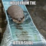 Otter gliding down slide with text "Hello from the Otter Slide"