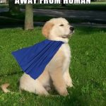 Fluffy puppy wearing cape, looking proud on green lawn.