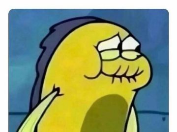 Fish struggling to hold back a rude comment in a bad mood